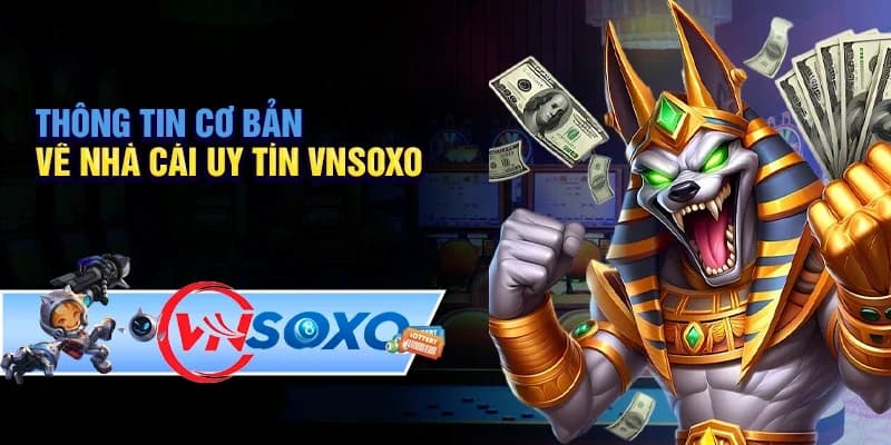 Vnsoxo - Hơn một thập niên xuất hiện trên thị trường