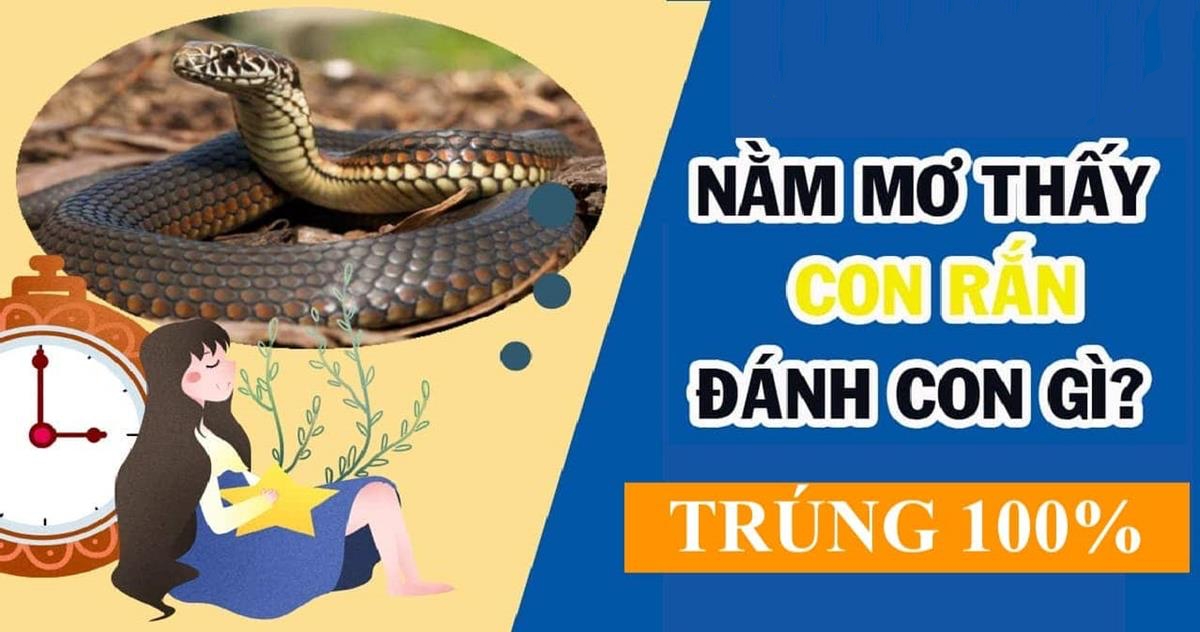 Mơ Thấy Rắn Đánh Con Gì? VNSOXO Giải Mã Giấc Mơ