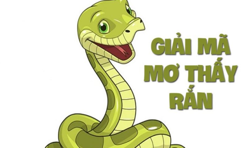 Điềm báo xấu khi thấy rắn
