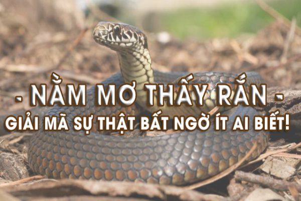 Nằm Mơ Mơ Là Điềm Gì? Giải Mã Giấc Mơ Cùng VNSOXO